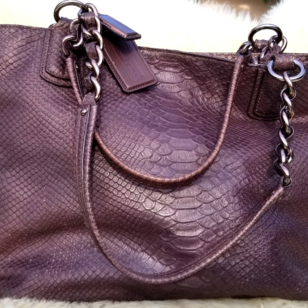 Coach Chelsea Exotic Bronze Leather Chain Tote